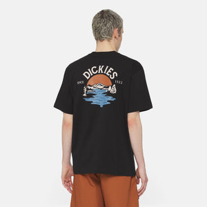Dickies Beach Tee Black - חולצה קצרה - T-Shirt