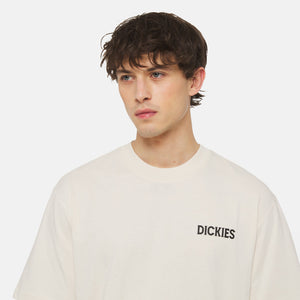 Dickies Beach Tee Whitecap Gray - חולצה קצרה - T-Shirt