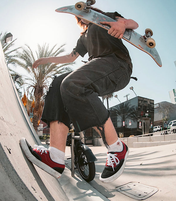 Vans-Skate Era Shoe