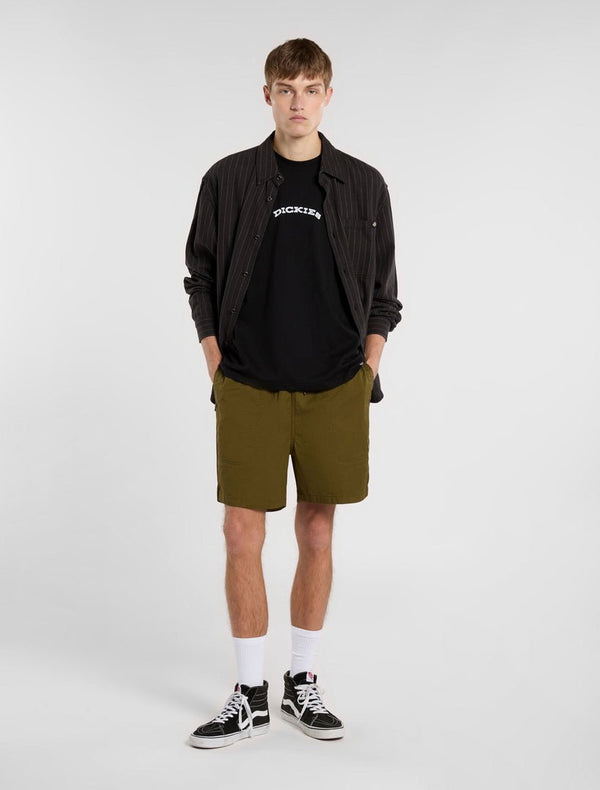 Dickies Pelican Rapids Shorts - Dark Olive - Pants