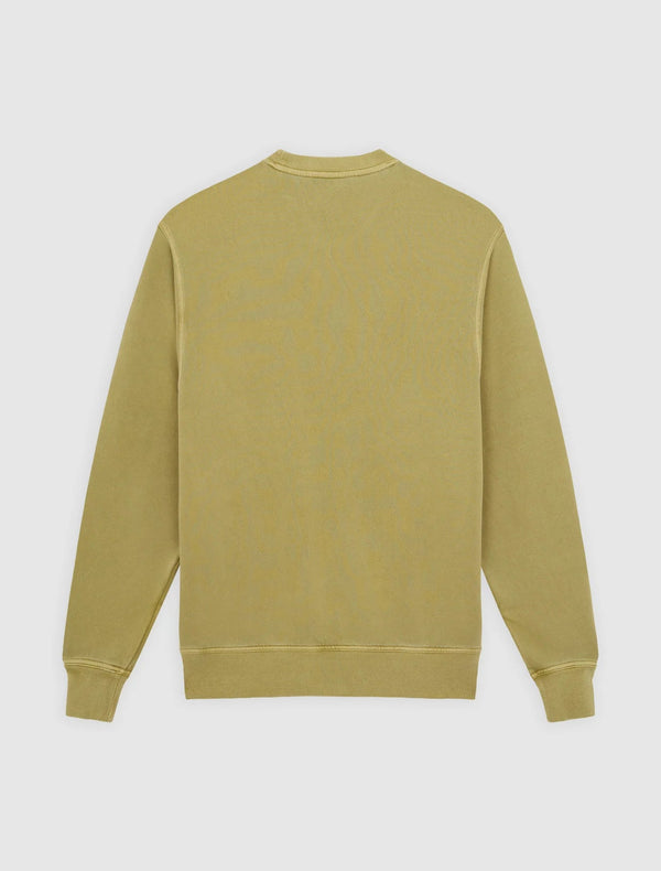 Dickies Plentywood Sweatshirt Peridot - Sweatshirt