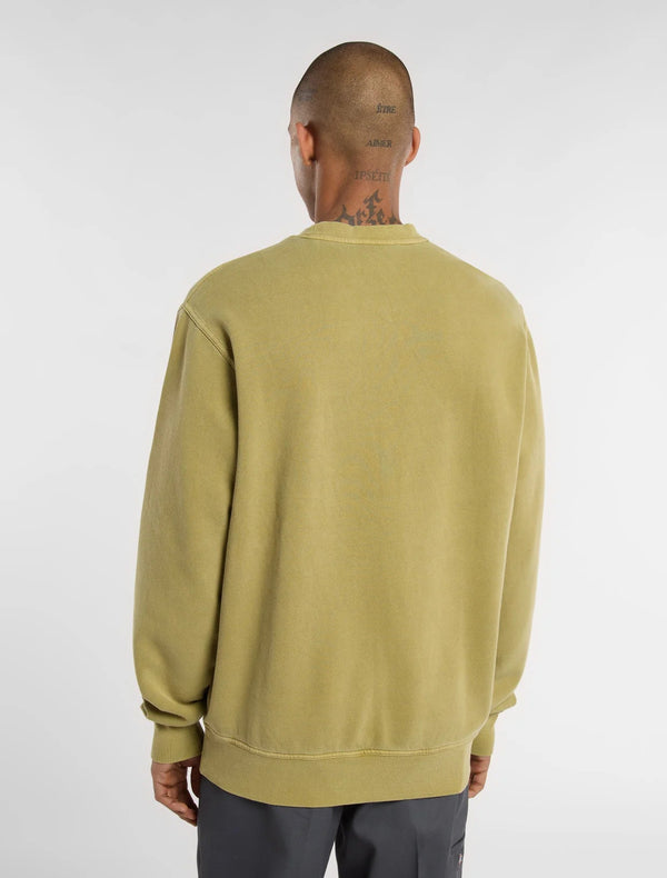 Dickies Plentywood Sweatshirt Peridot - Sweatshirt