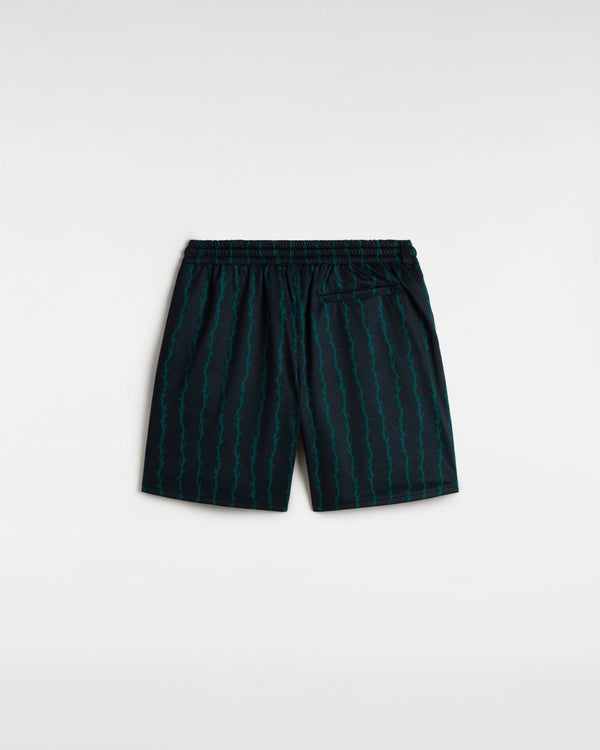 Vans Skate Loose Sport Short - Black/Green - Pants