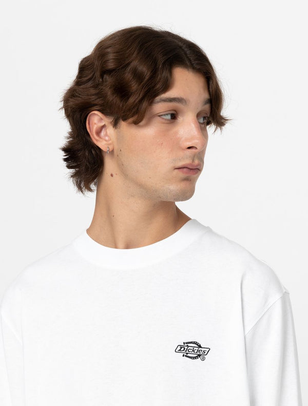 Dickies Summerdale Long Sleeve T-Shirt - T-Shirt